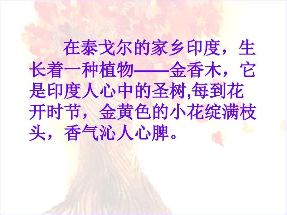 师附小陆宇芳PPT课件_第5页