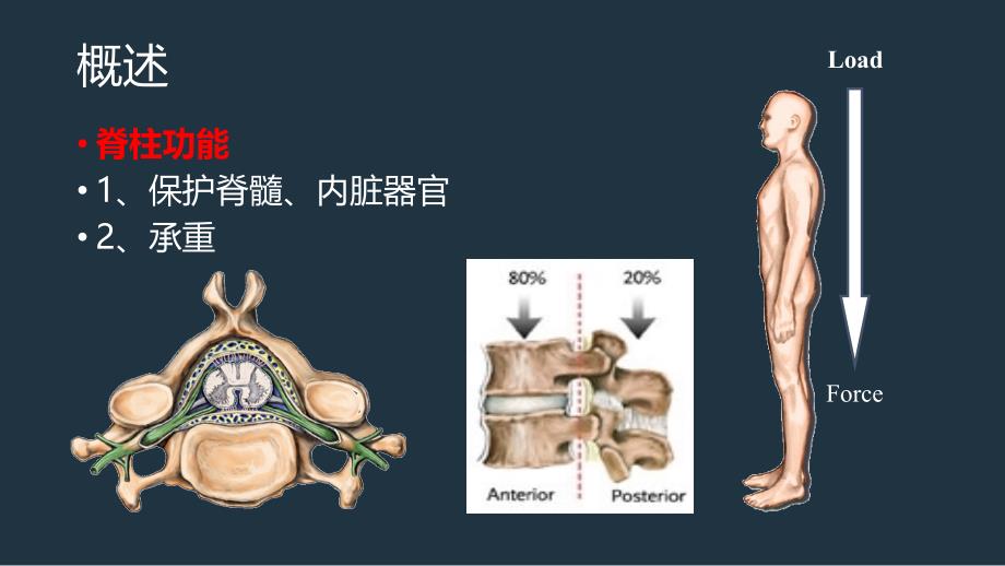 脊柱骨折的康复_第2页