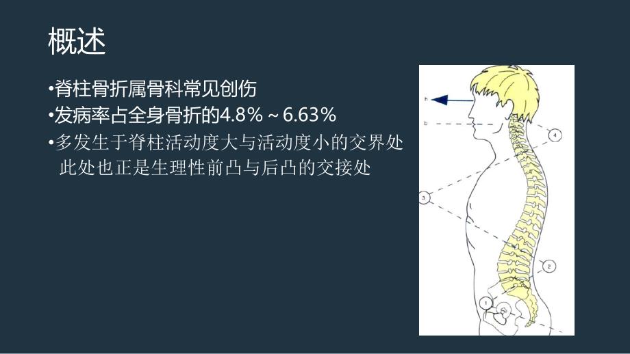 脊柱骨折的康复_第4页