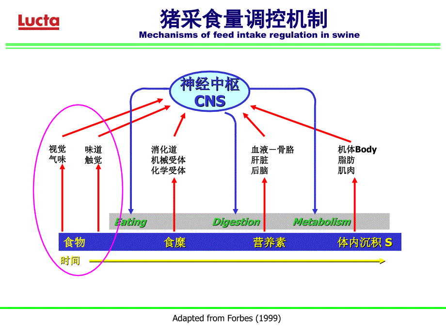 金博士上海会议_第3页