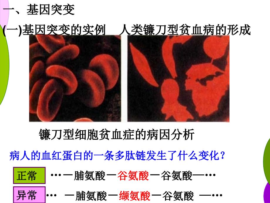 5.1基因突变和基因重组ppt_第3页