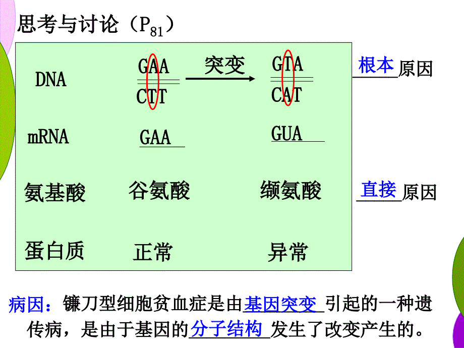 5.1基因突变和基因重组ppt_第4页