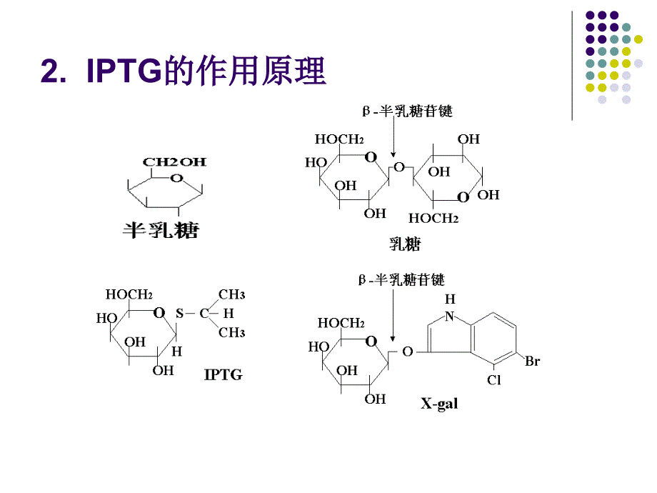 IPTG诱导的外源蛋白表达_第4页