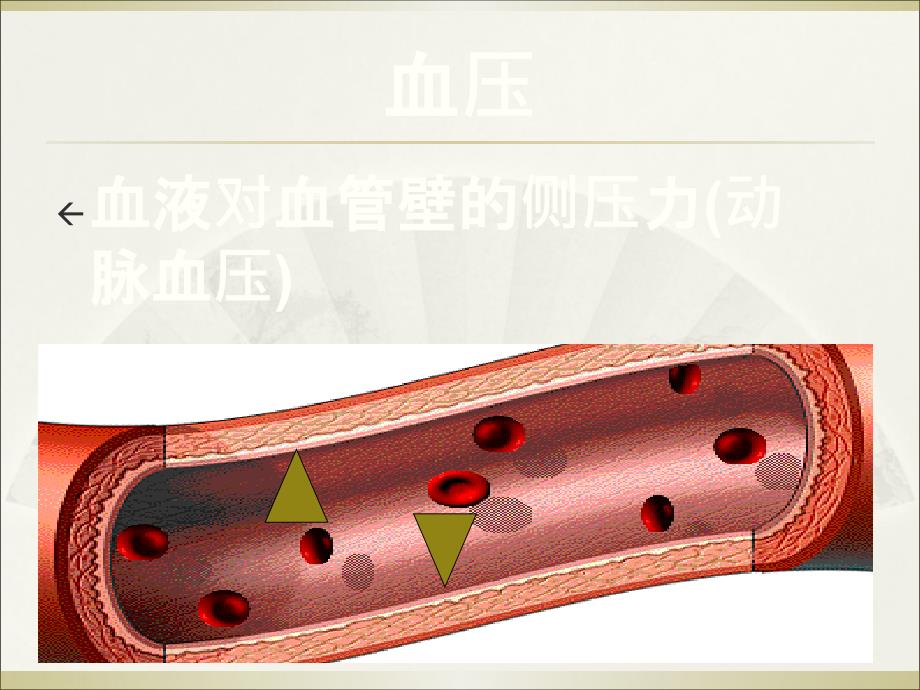 高血压健康教育讲座_第4页