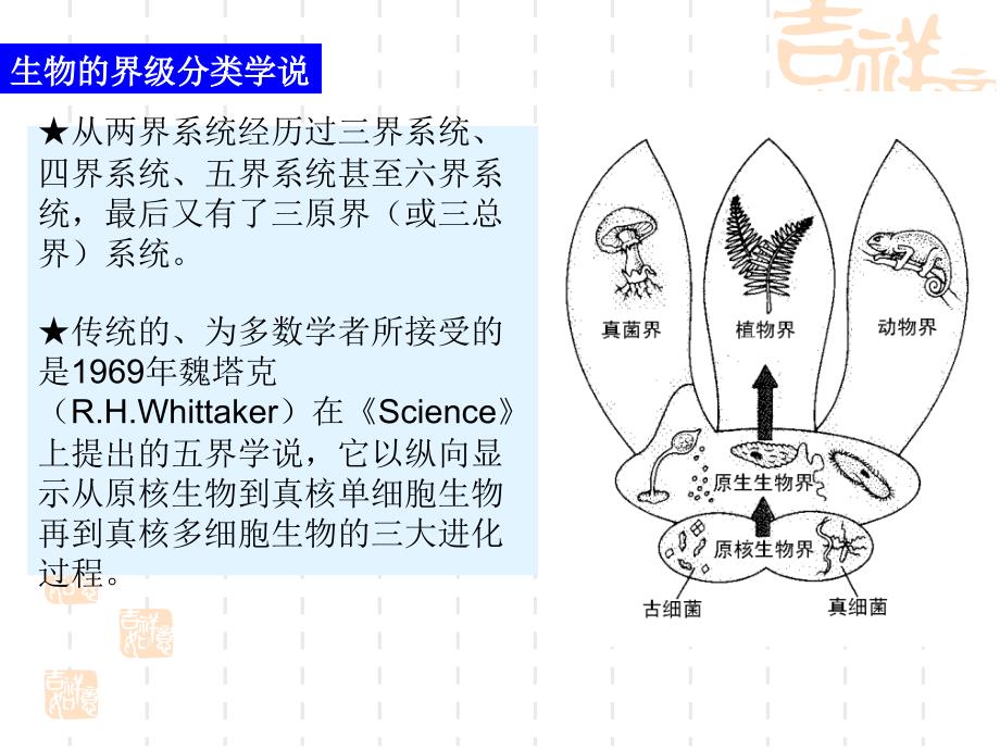 微生物的分类知识课件_第4页