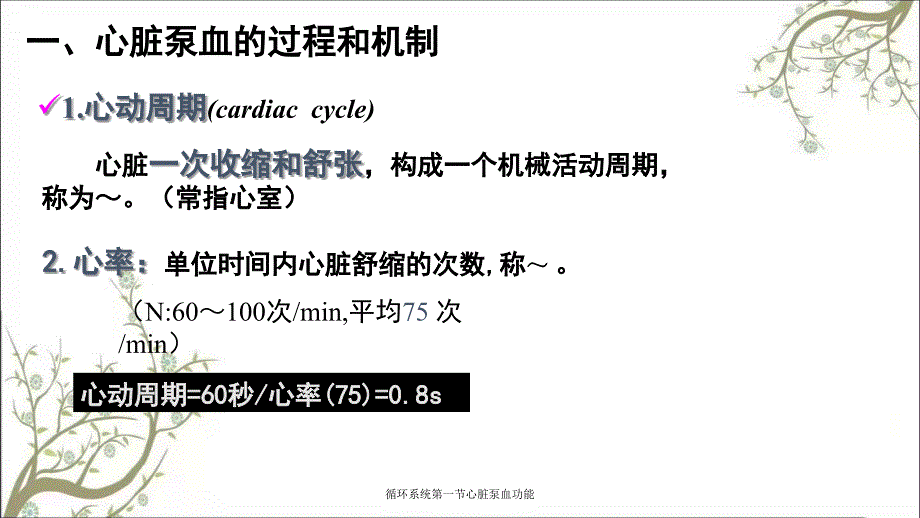 循环系统第一节心脏泵血功能_第3页