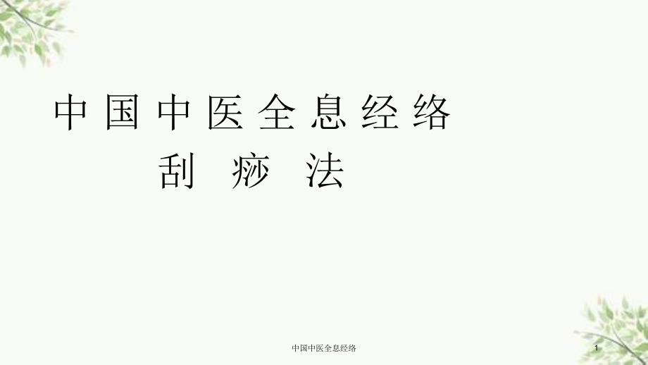 中国中医全息经络课件_第1页