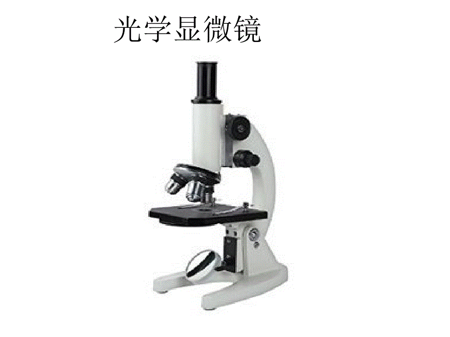 鲁科版生物六年级上册2.1.1练习使用显微镜ppt课件3_第3页