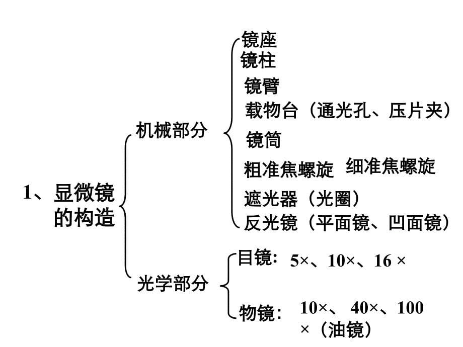 鲁科版生物六年级上册2.1.1练习使用显微镜ppt课件3_第5页