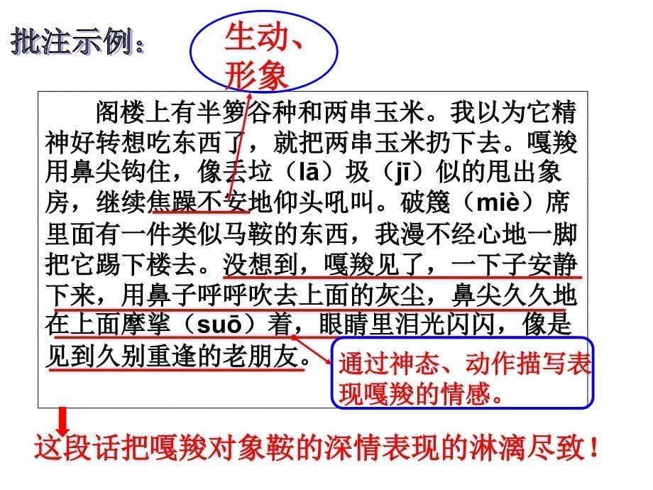 六年级语文上册最后一头战象课件四_第5页