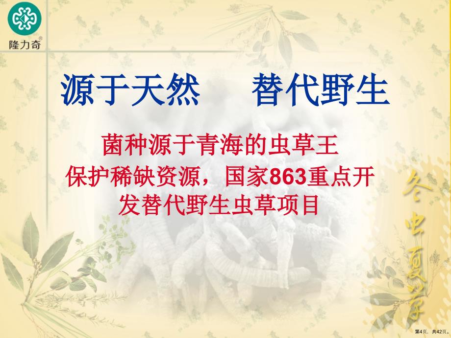 众成内训46隆力奇100纯虫草_第4页