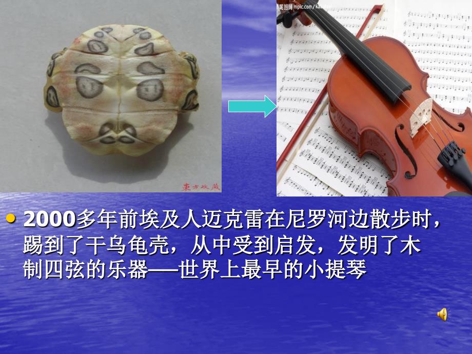 《大自然的启示》作文教学课件_第4页