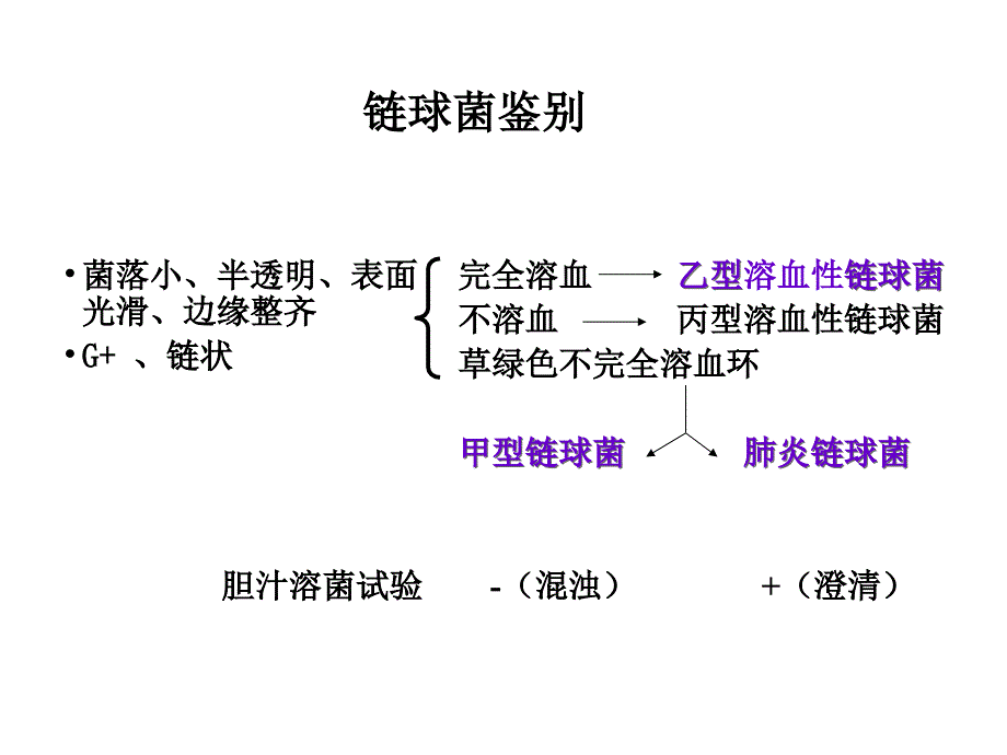 《实验二球菌杆菌》PPT课件_第4页