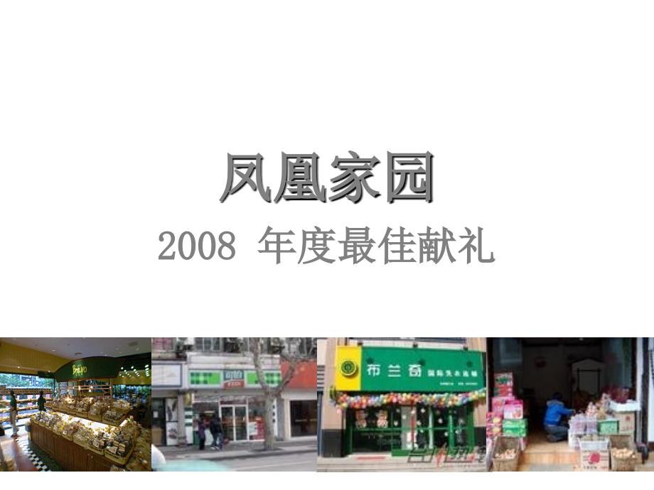 南昌凤凰家园商业街铺项目操作的方案_第1页