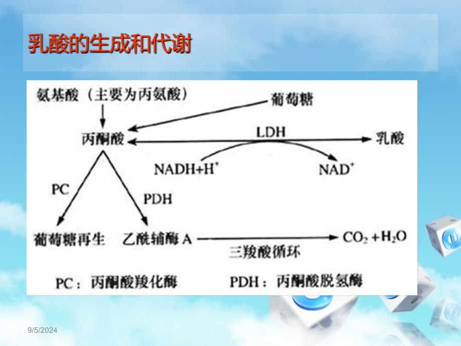 乳酸测定对急诊重病的评估ppt课件_第4页