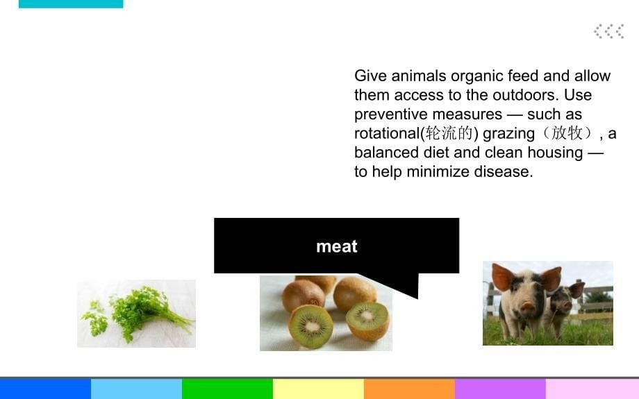 organic_food有机食品_第5页