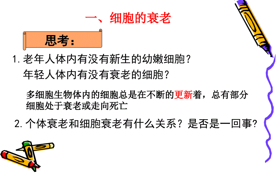 细胞的衰老和凋亡课件_第3页