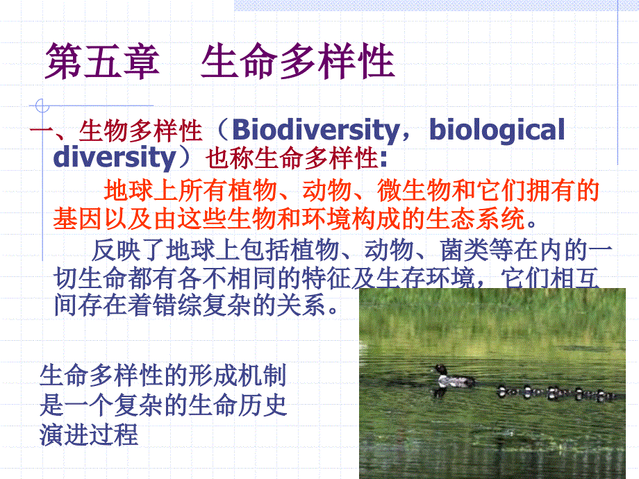 生命多样性第六章生物的分类课件_第1页