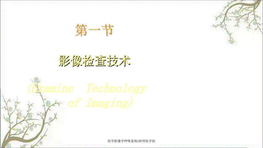 医学影像学呼吸系统1蚌埠医学院_第3页