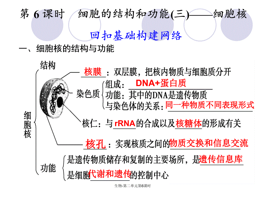 生物-第二单元第6课时课件_第1页