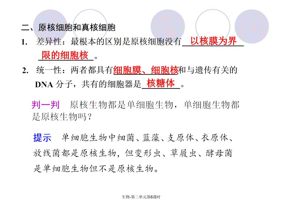 生物-第二单元第6课时课件_第3页