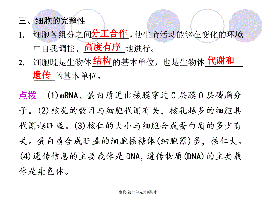 生物-第二单元第6课时课件_第4页