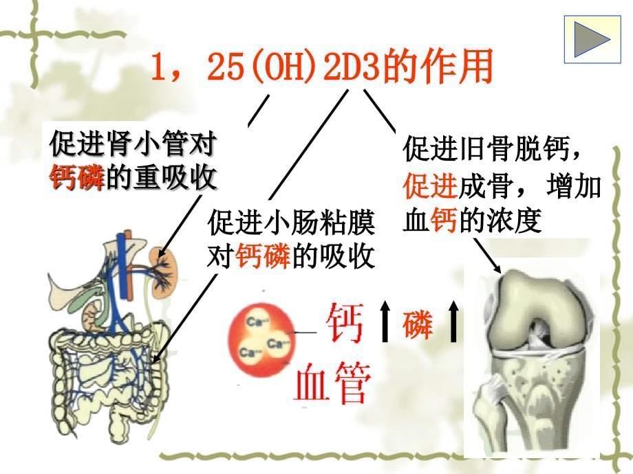 Rickets of VitD Deficiency非临床_第5页