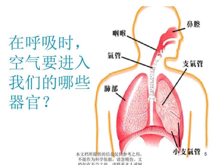 粤教版四年级下册科学呼吸与健康课件_第5页