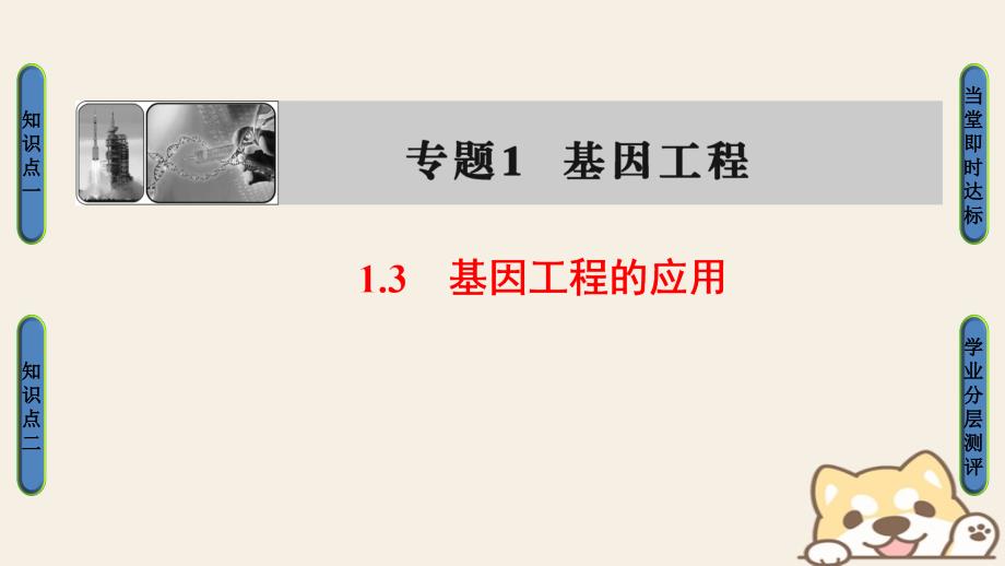 2018版高中生物 第1章 基因工程 1.3 基因工程的应用课件 新人教版选修3_第1页