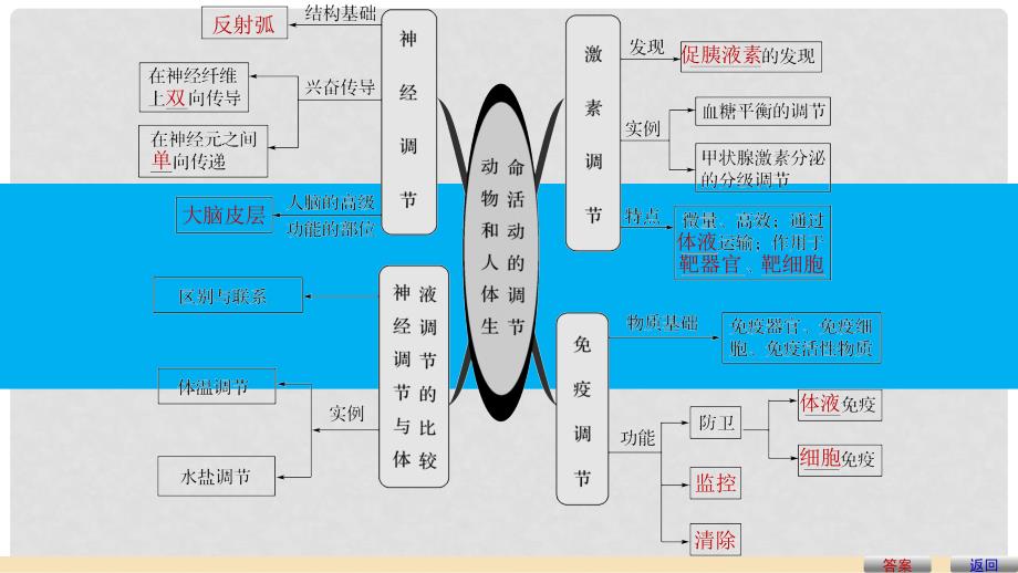 高中生物 第2章 动物和人体生命活动的调节章末整合提升课件 新人教版必修3_第4页