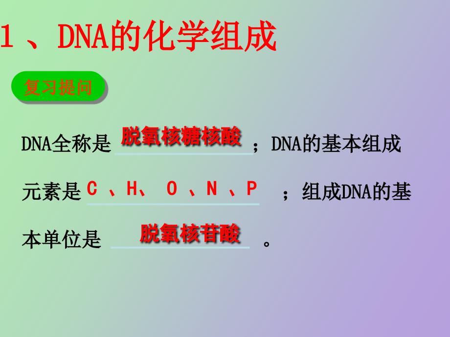 高中生物DNA的结构和复制_第4页