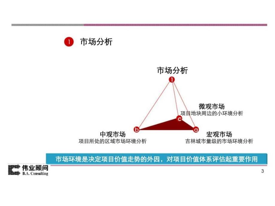 伟业顾问：吉林滨江项目营销建议_第3页