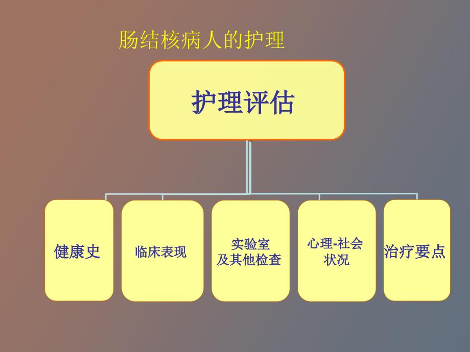 肠结核、结核性性腹膜炎病人的护理_第4页