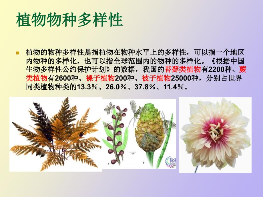 植物资源面临的现状与保护_第2页