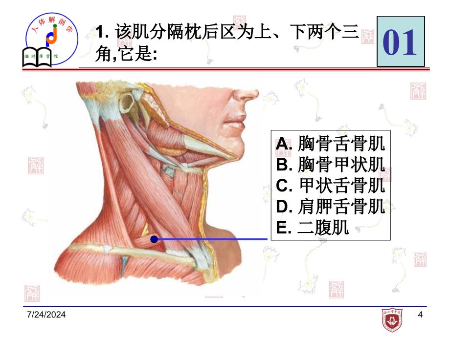 局解实验考试样题_第3页