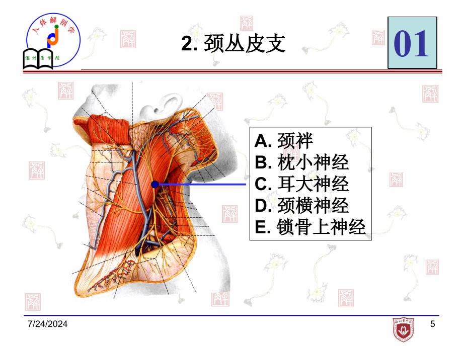 局解实验考试样题_第4页