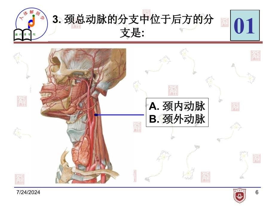 局解实验考试样题_第5页