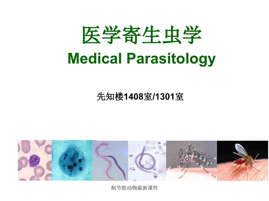 制节肢动物最新课件_第1页