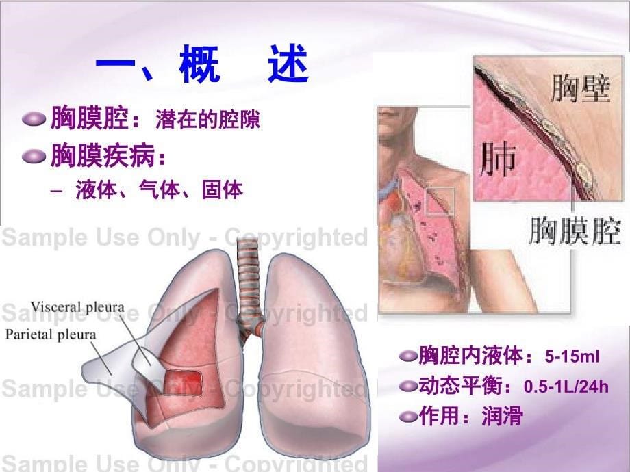 胸腔积液ppt课件_第5页