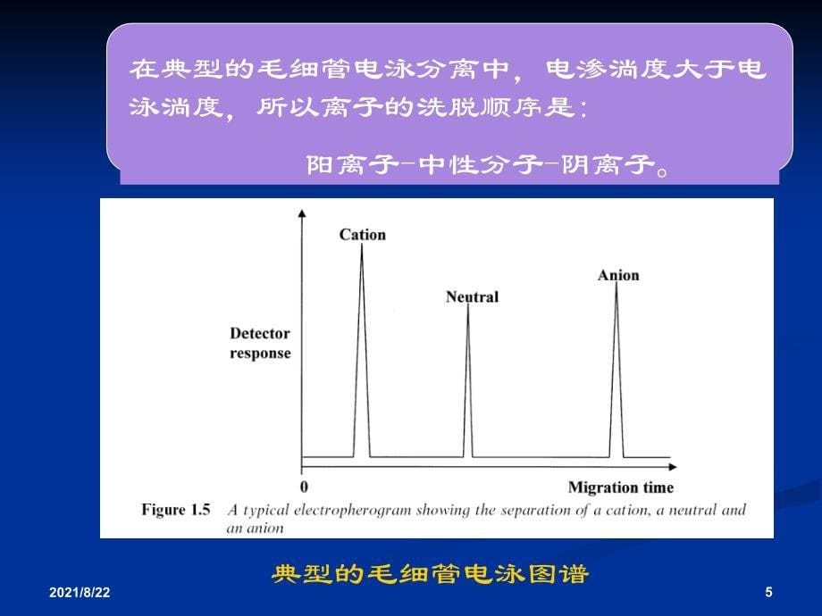 毛细管电泳-2015推荐课件_第5页