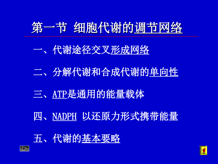 代谢调控课件_第2页