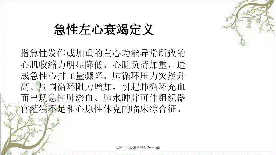 急性左心衰竭诊断和治疗指南课件_第3页