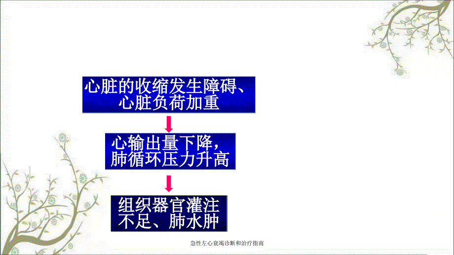 急性左心衰竭诊断和治疗指南课件_第4页