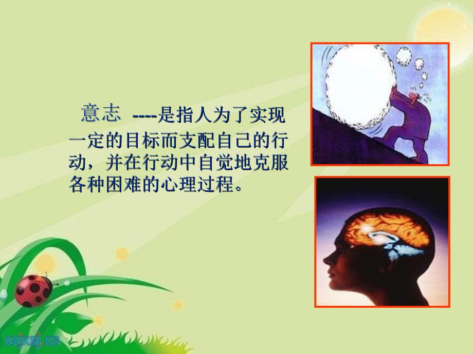 人教版体育与健康《培养你的意志品质》.ppt_第3页