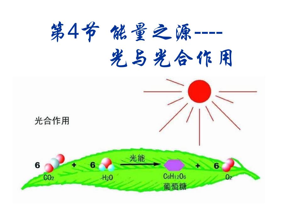 5.4光合作用课件_第1页