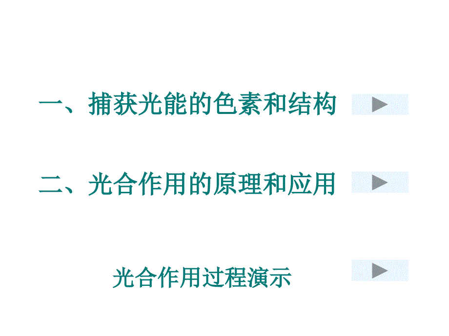 5.4光合作用课件_第3页