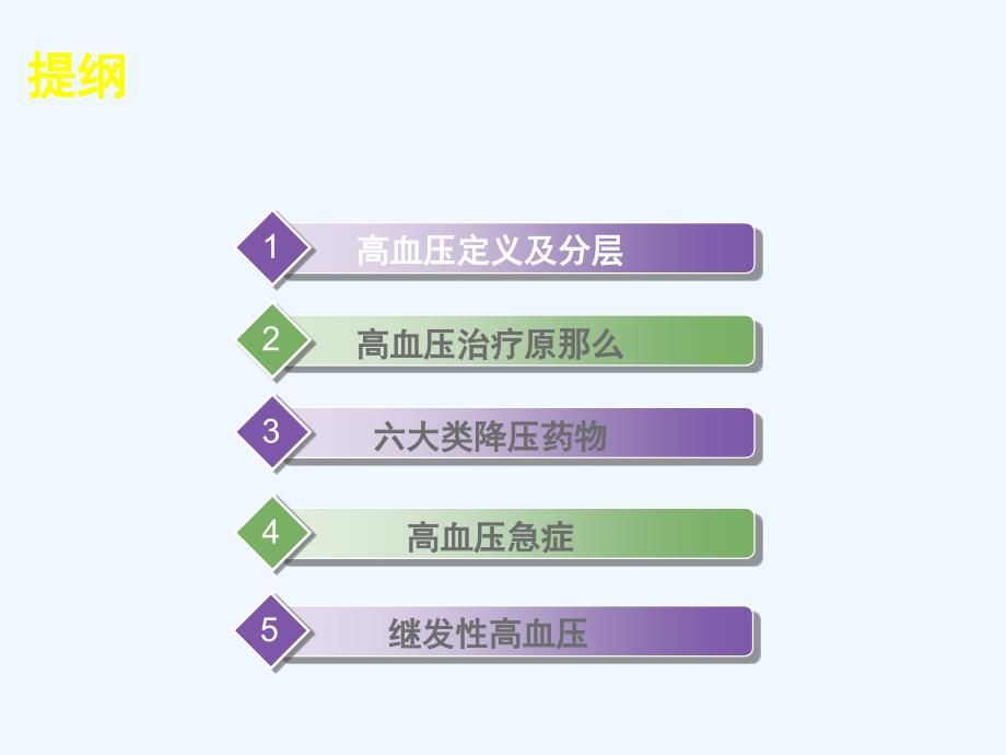 全科医师高血压培训_第2页