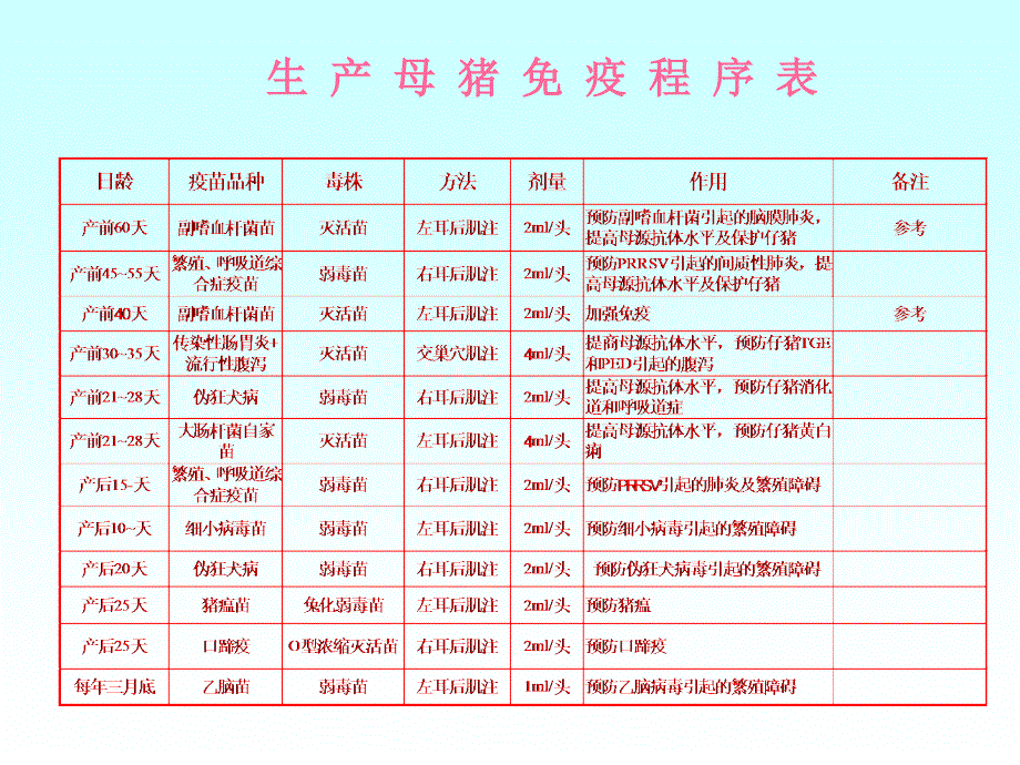 《猪免疫程序表》PPT课件.ppt_第1页