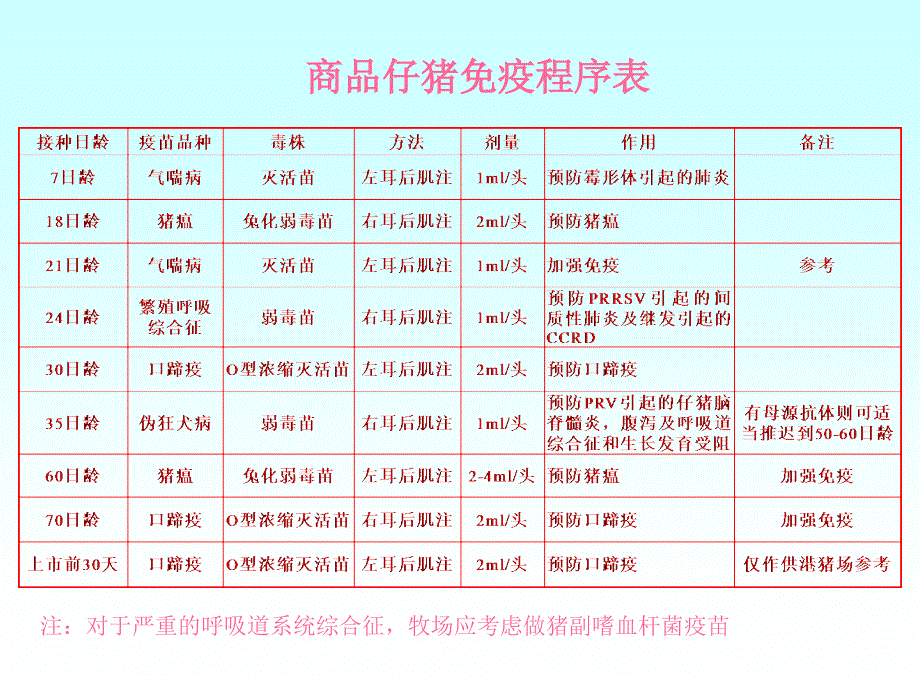 《猪免疫程序表》PPT课件.ppt_第2页