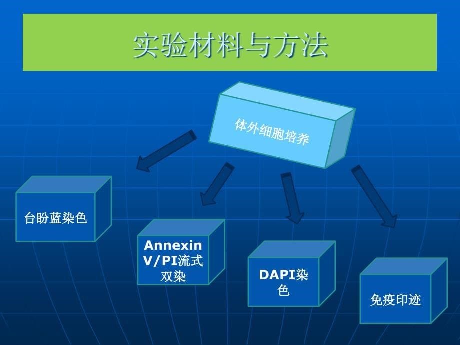 千层纸素诱导非小细胞肺癌_第5页